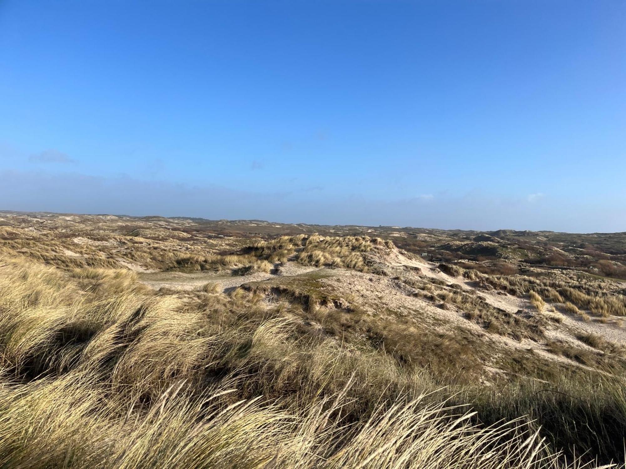Vakantiehuis Aan Zee Эгмонд-ан-Зее Экстерьер фото